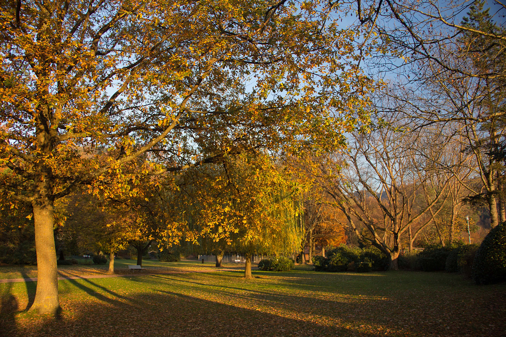 Herbst zum Geniessen....