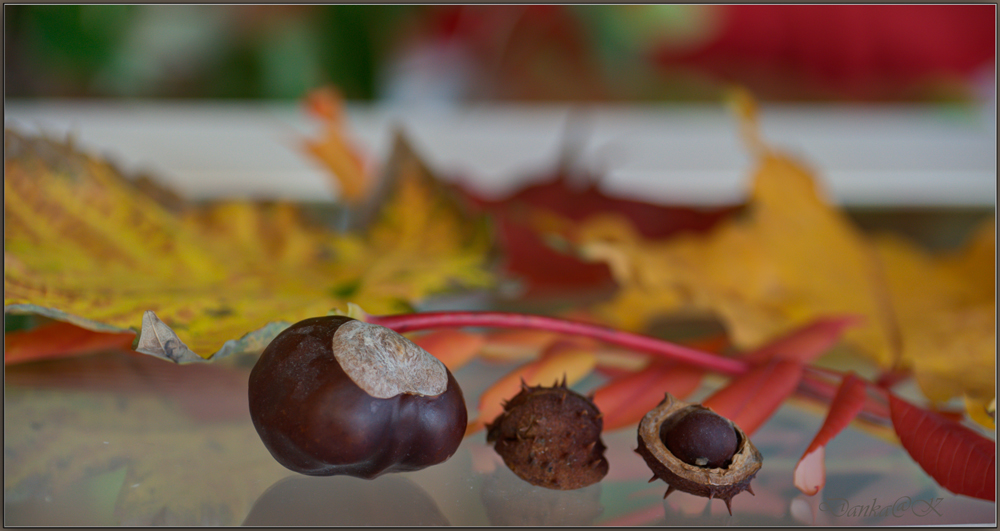 Herbst Zusammensetzung