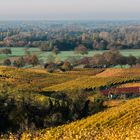 Herbst zwischen Bensheim und Heppenheim 2020