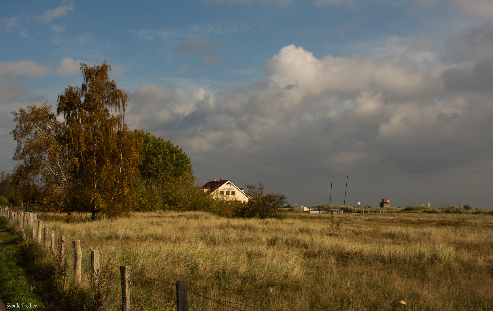 Herbst zwischen Deich und Ostsee