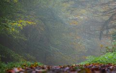 Herbst_003