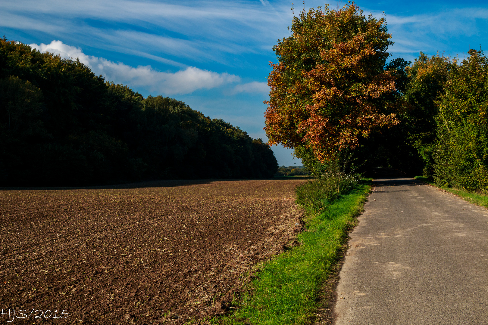 Herbst_01