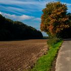 Herbst_01