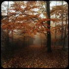 Herbst_1