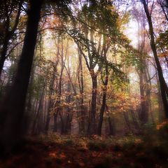 Herbst_12