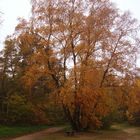 Herbst,1e November