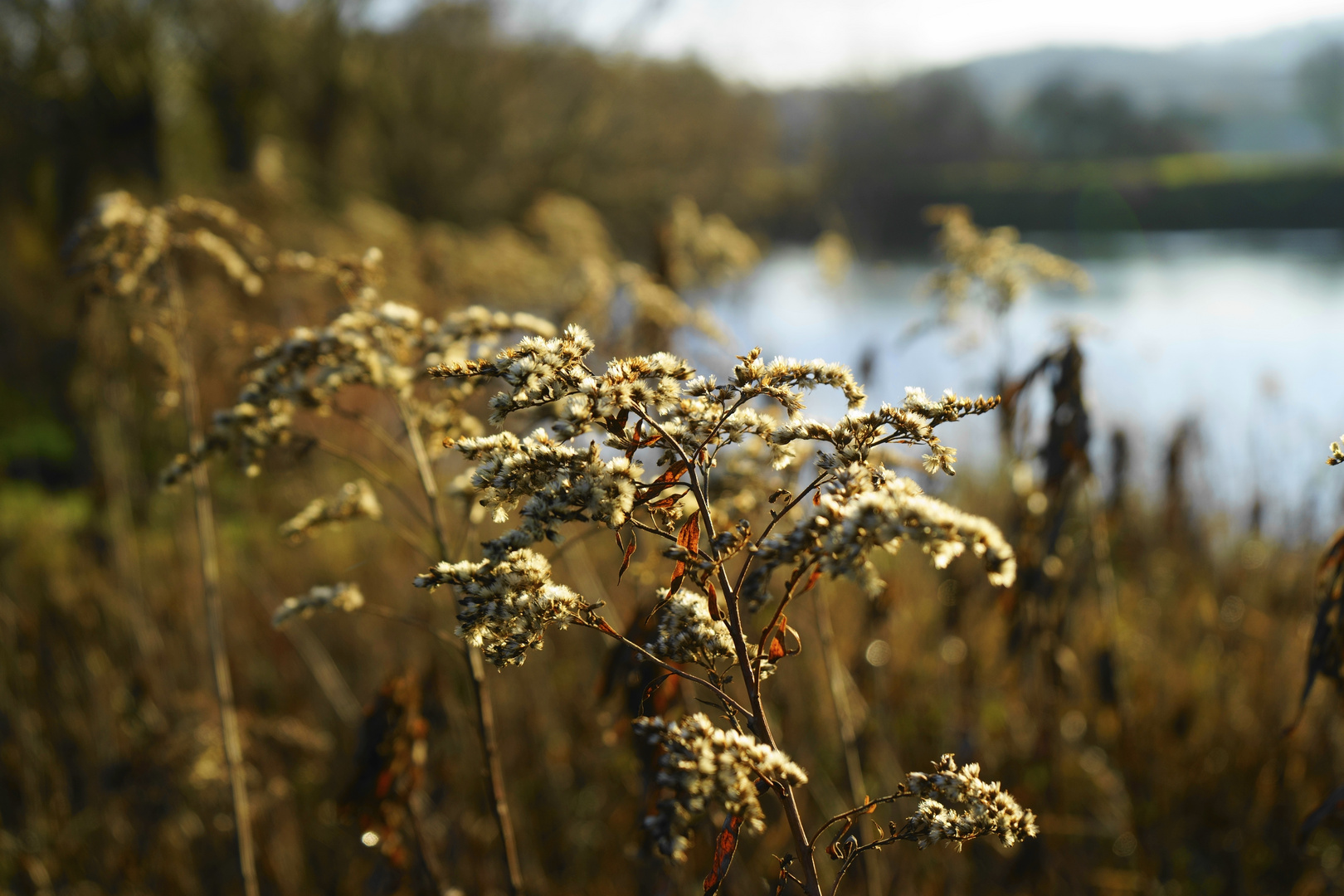 Herbst2