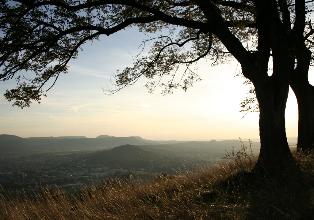 herbst2