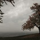 Herbst/2