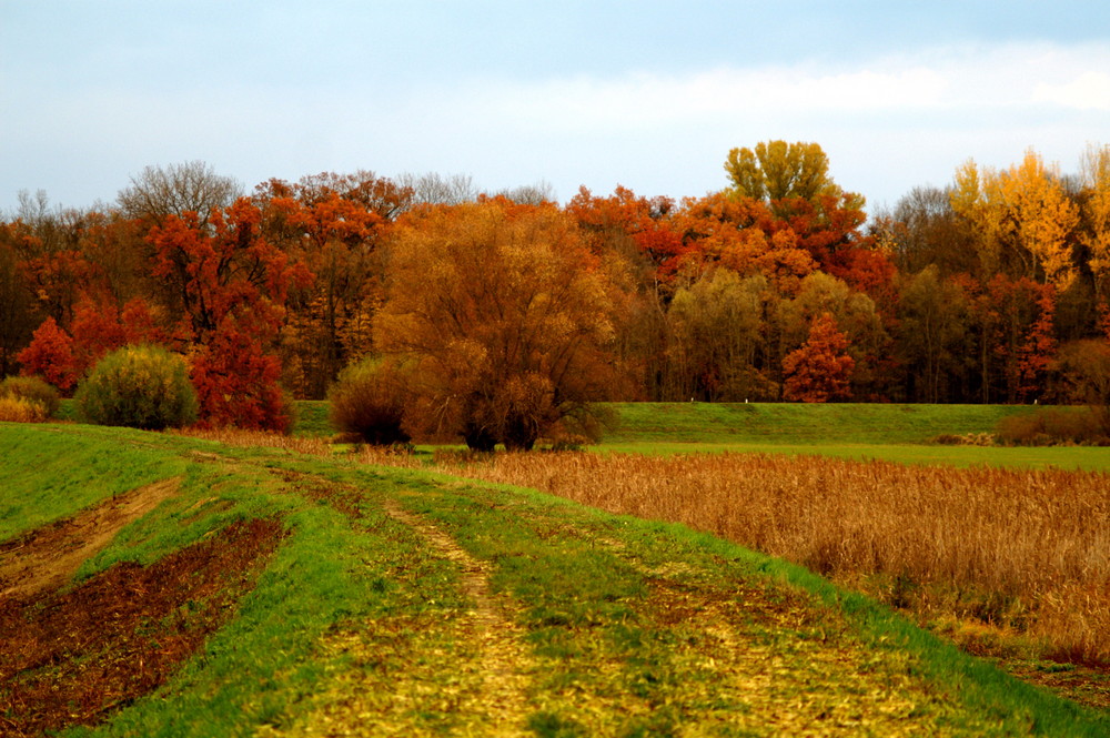 Herbst2