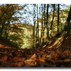 herbst_2