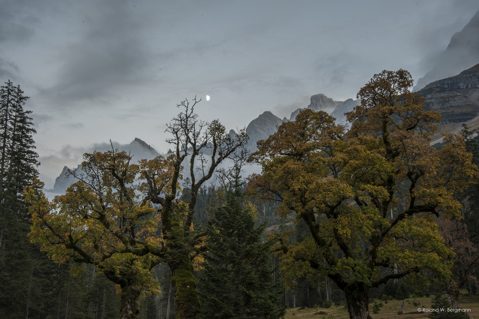 Herbst2 im kleinen Ahornboden