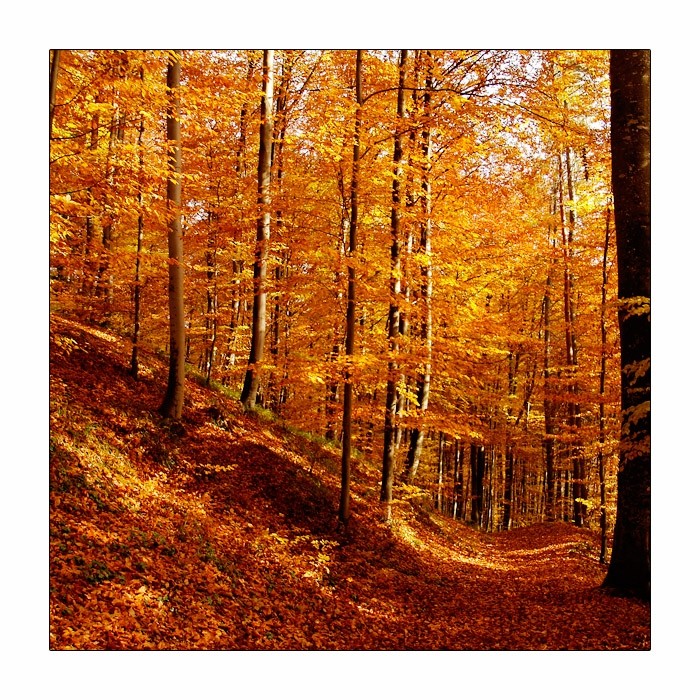 Herbst^2 oder: Herbst im Quadrat