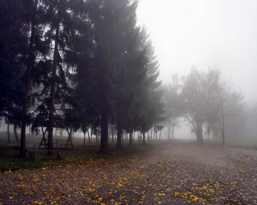 Herbst2007