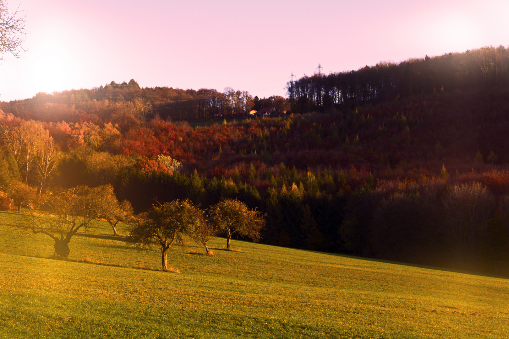 herbst2013