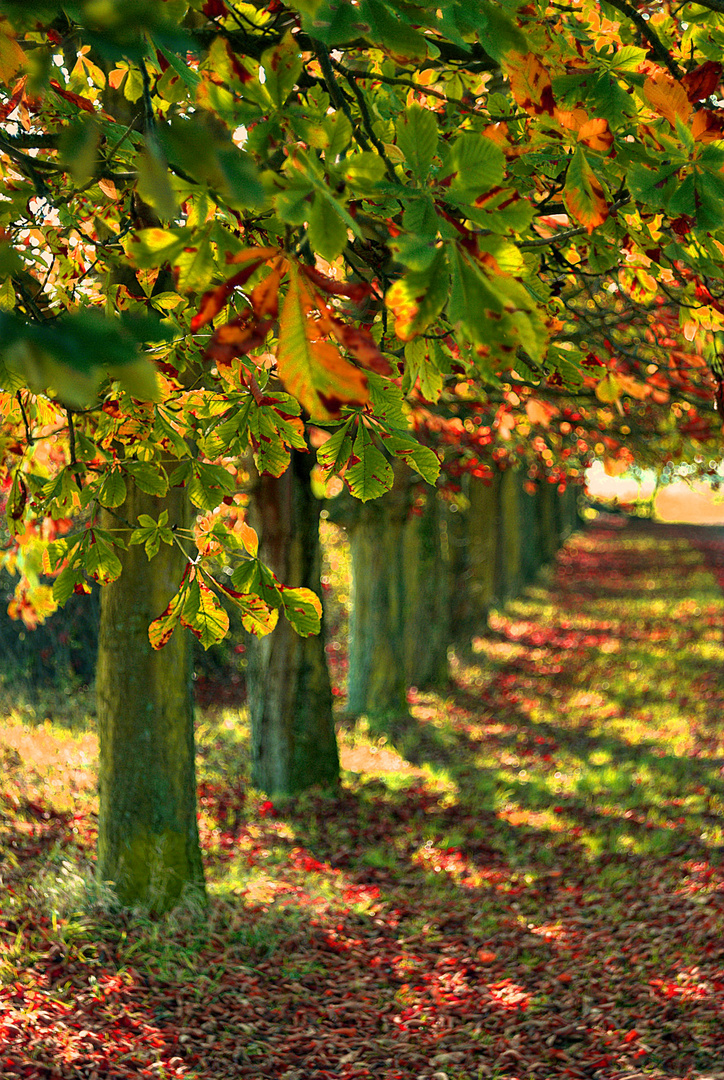 Herbst2014