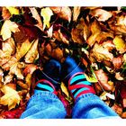 Herbst3