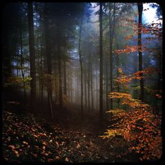 Herbst_6