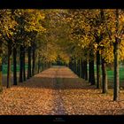 Herbst_7976