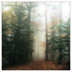 Herbst_8