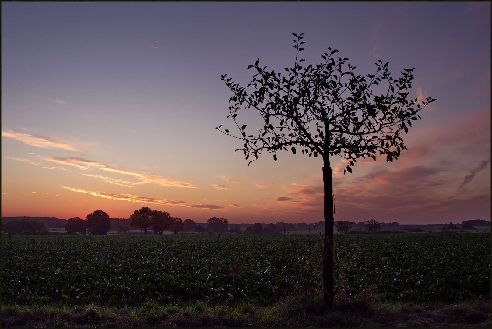 Herbstabend