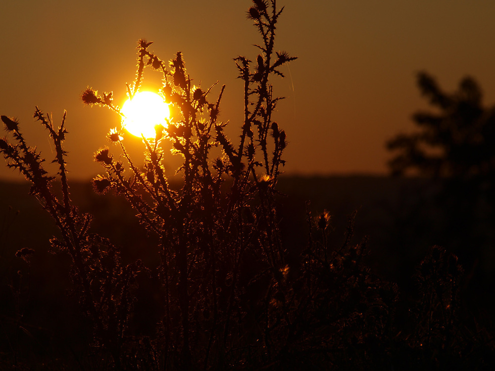 Herbstabend