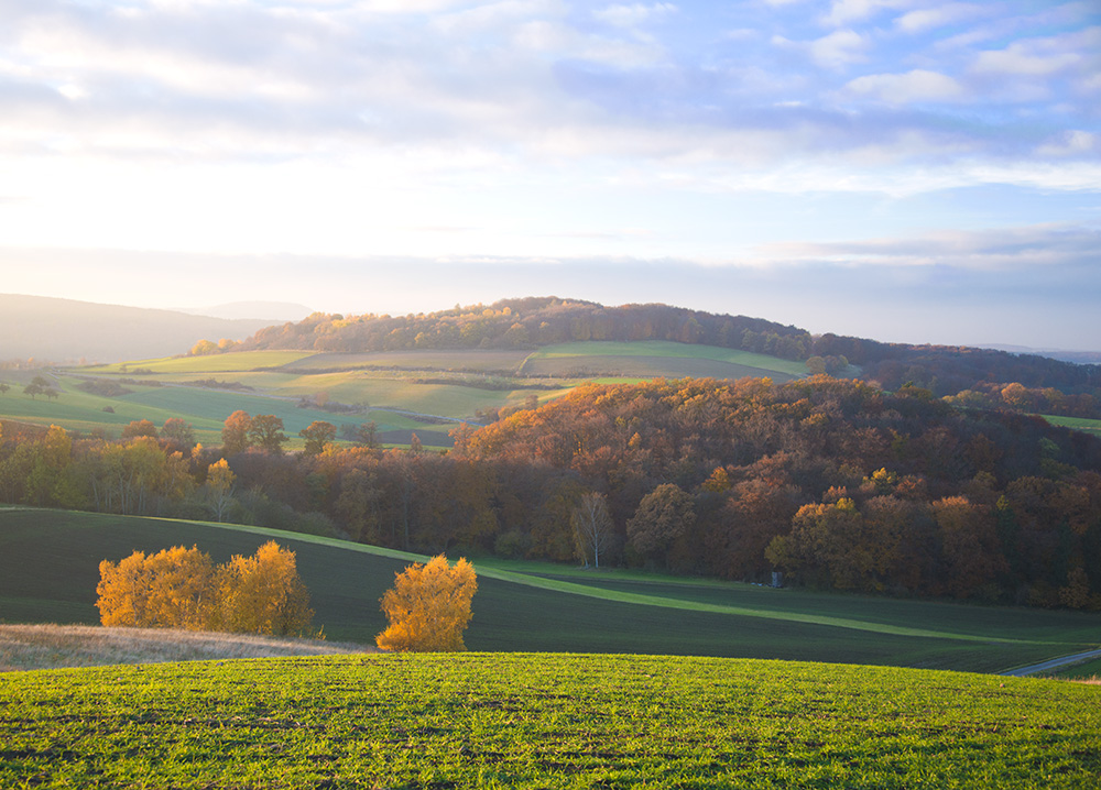 Herbstabend