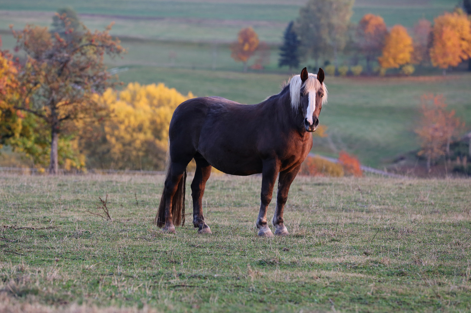 Herbstabend