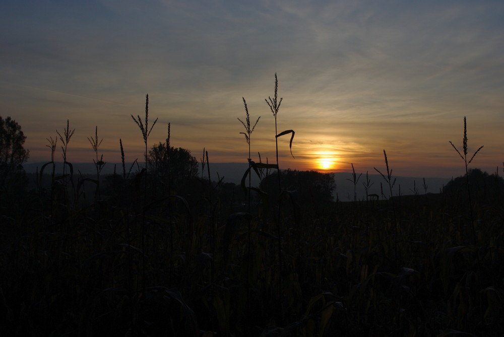 Herbstabend