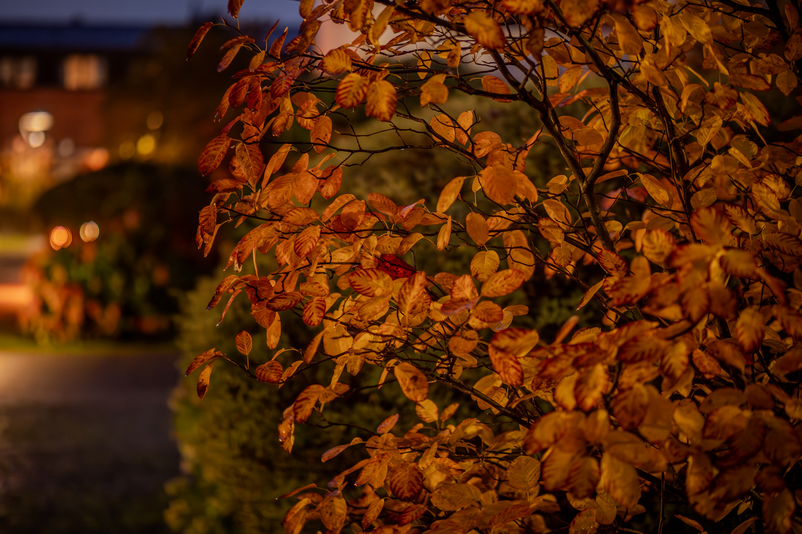 Herbstabend