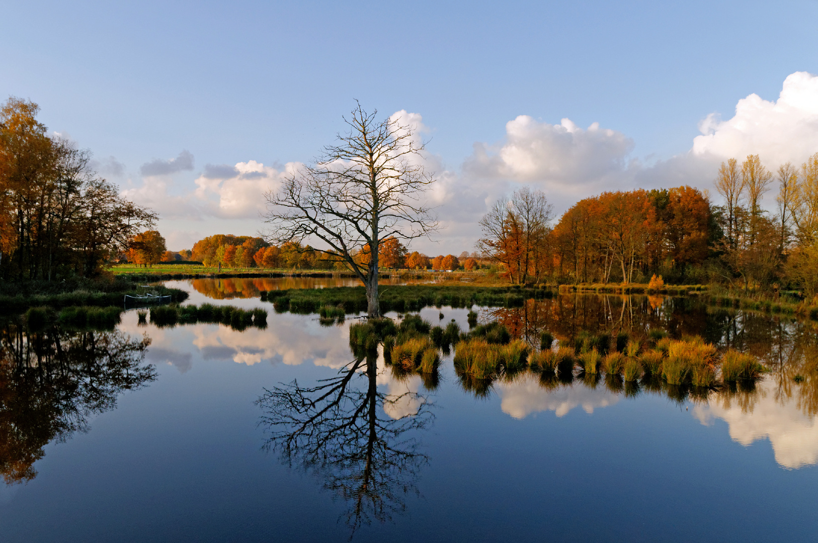 Herbstabend am Biotop