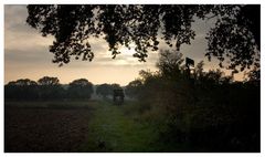 Herbstabend am Niederrhein