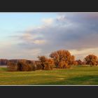 Herbstabend am Niederrhein