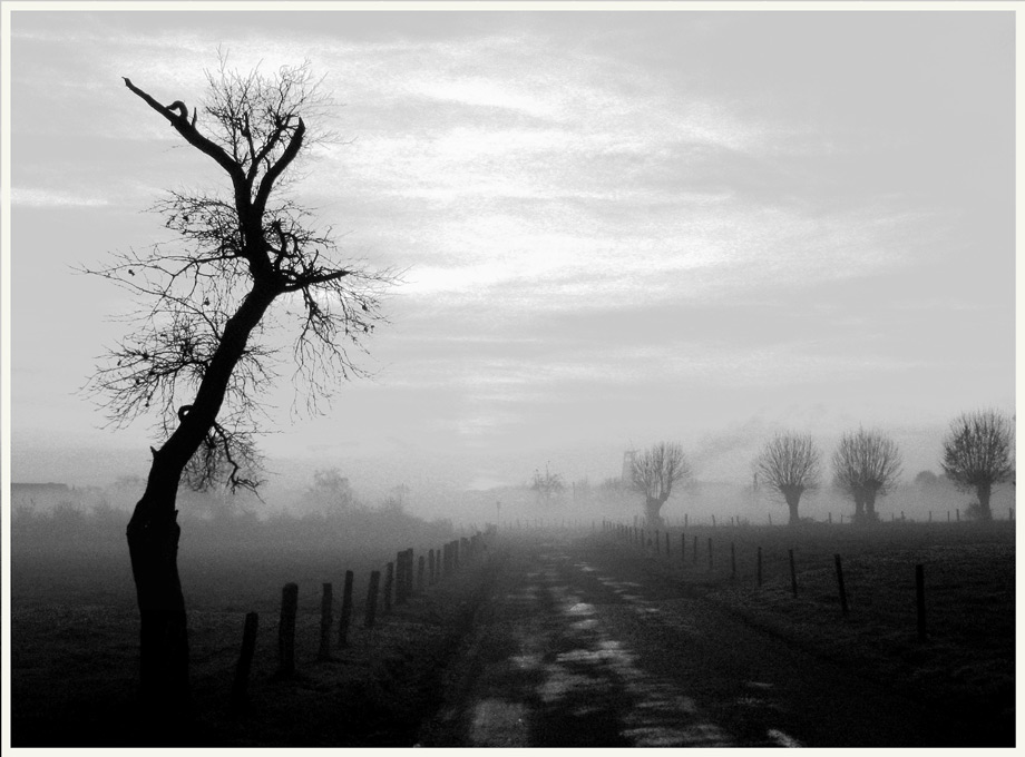 Herbstabend am Niederrhein by Werner Kleinelsen