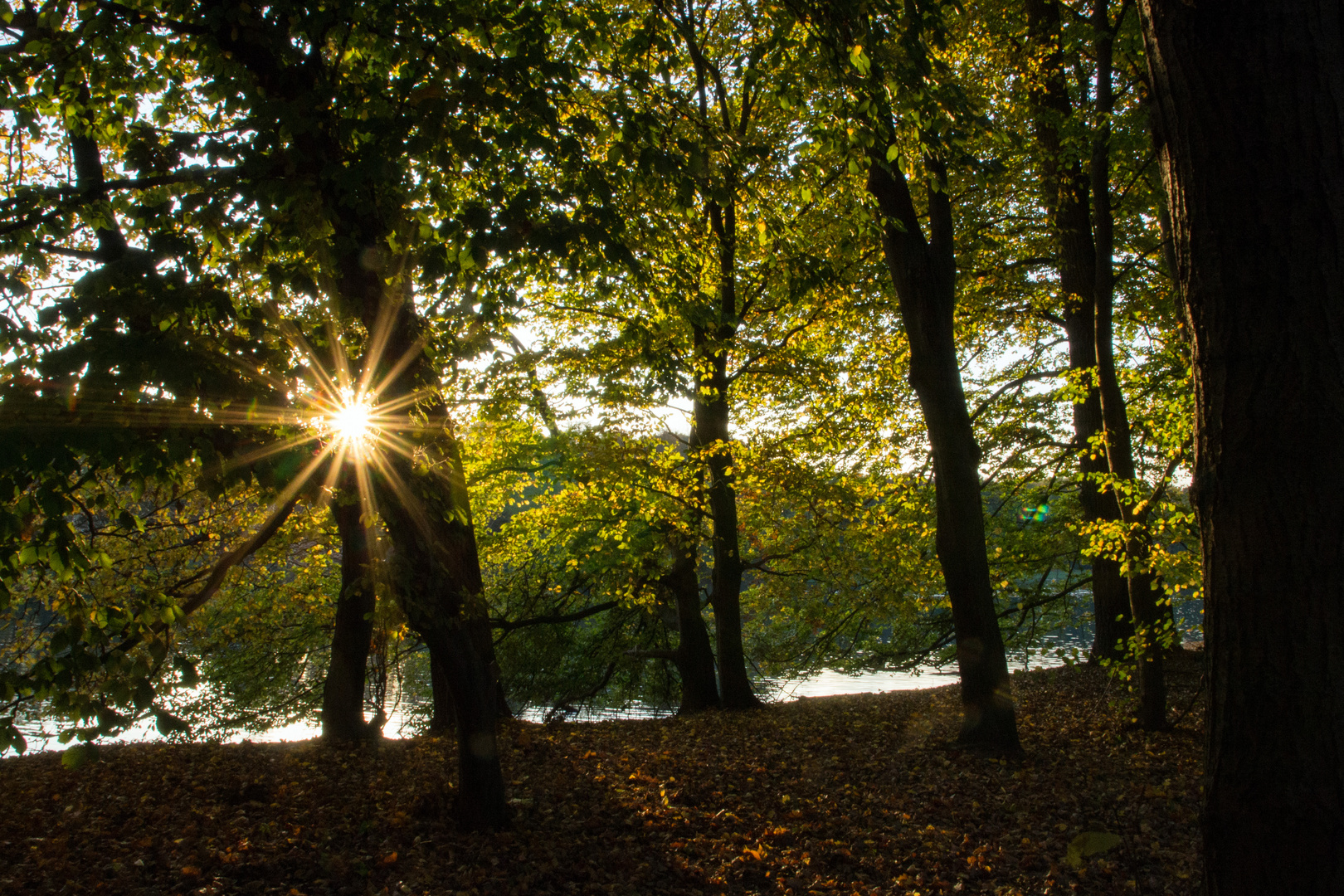 Herbstabend am See