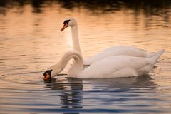 Herbstabend am See