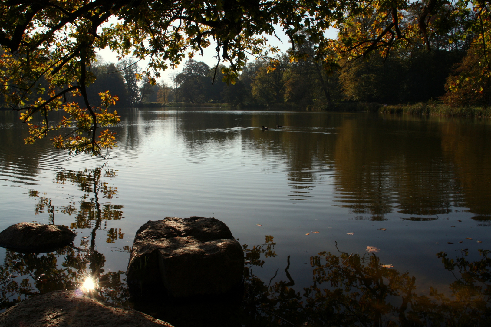 ~ Herbstabend am See ~