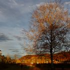 Herbstabend am Seeufer