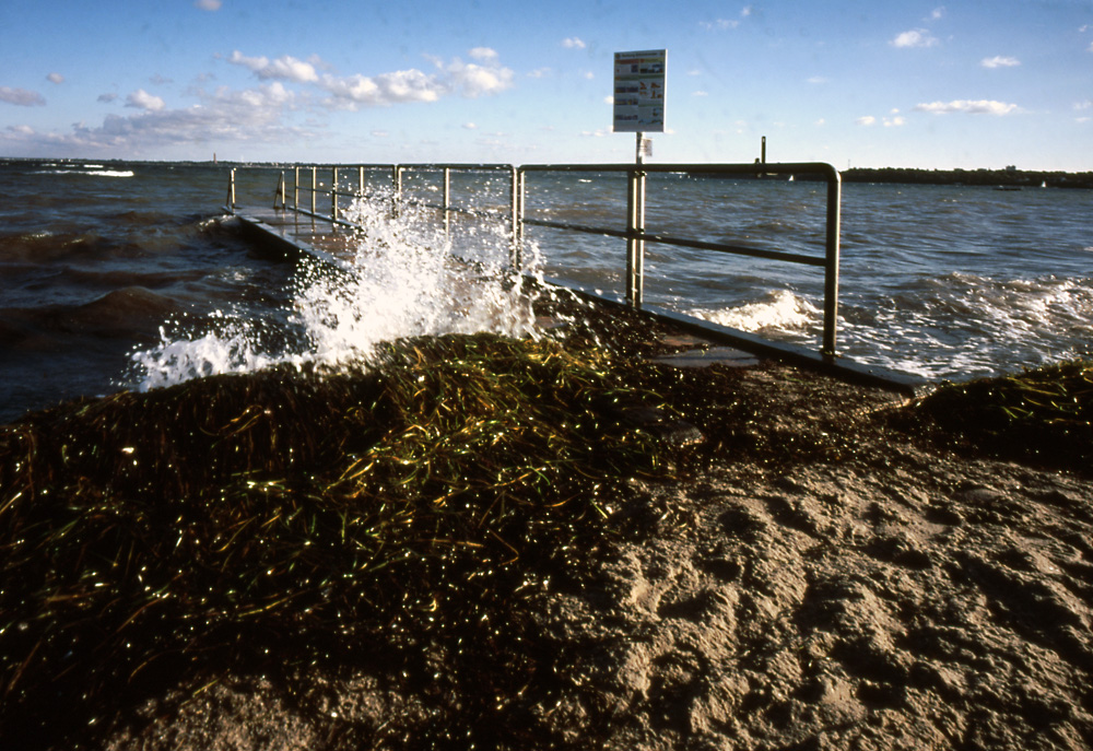 Herbstabend am Strand von Strande