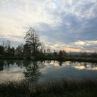 Herbstabend am Weiher