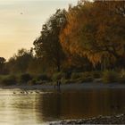 herbstabend an der schmugglerbucht