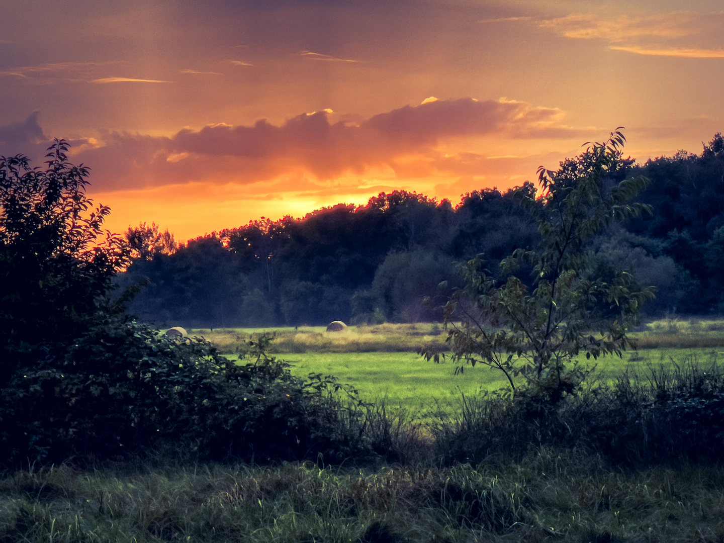 Herbstabend auf dem Feld