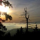 Herbstabend auf der Schanze