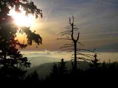 Herbstabend auf der Schanze