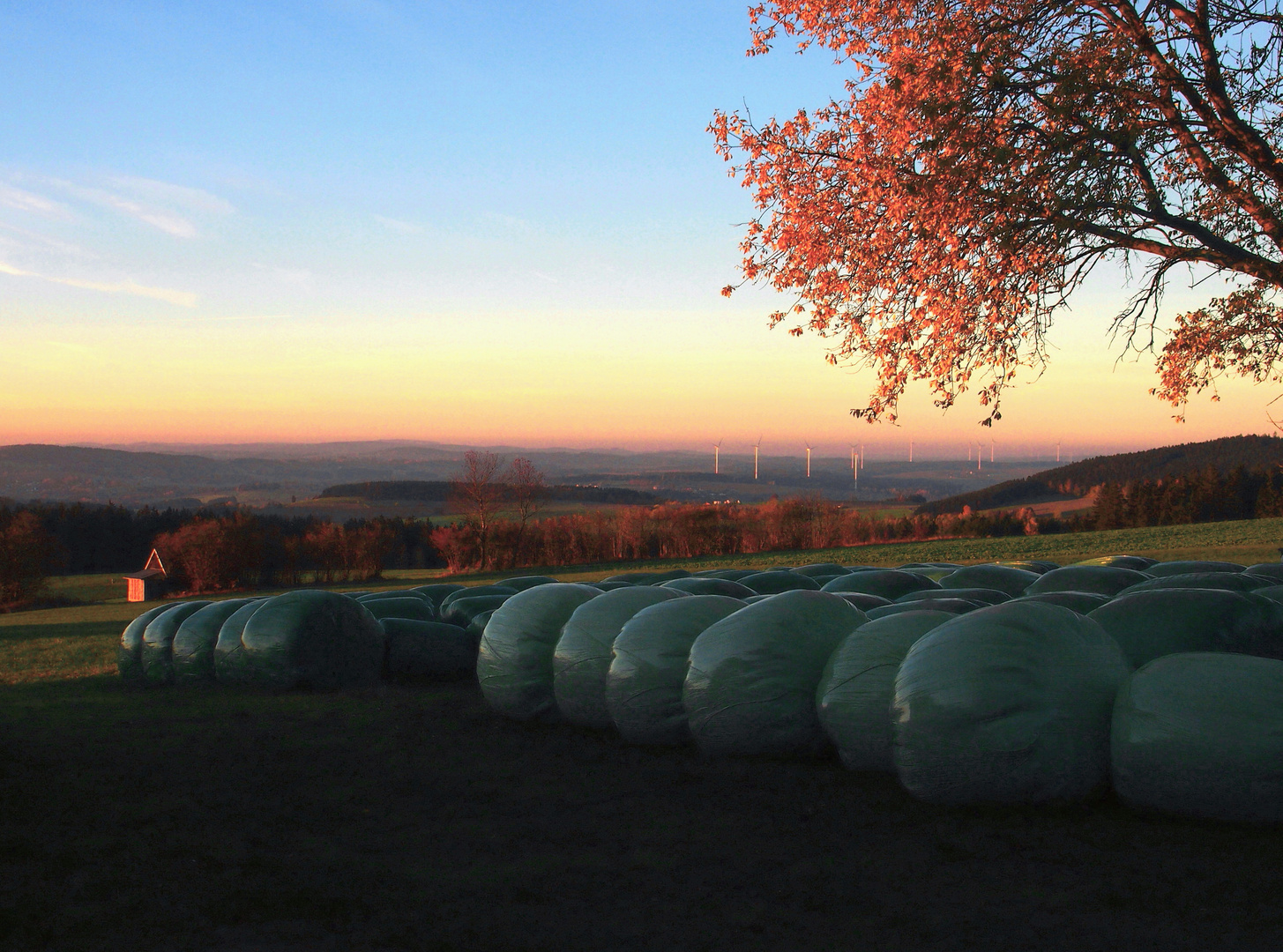 Herbstabend-Ausblick