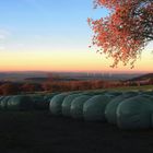 Herbstabend-Ausblick