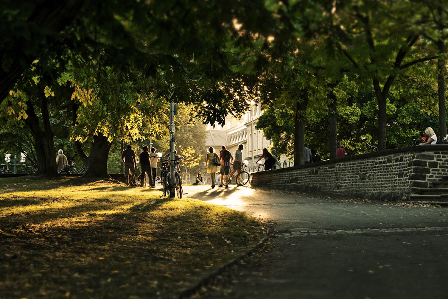 Herbstabend Bonn