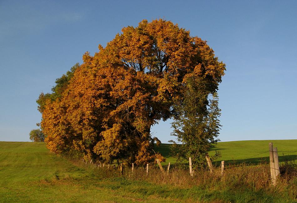 Herbstabend