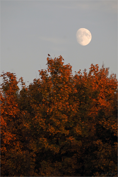 herbstabend