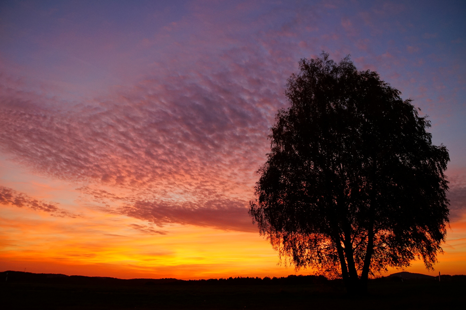 Herbstabend